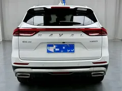 2023 Haval H6 1.5T AT Guochao Champion, белый — фото 16