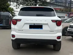 2023 Haval Havaldog PLUS 1.5T 2WD Chaoye Plus, белый — фото 9