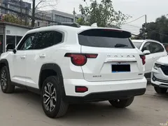 2023 Haval Havaldog PLUS 1.5T 2WD Chaoye Plus, белый — фото 10