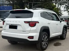 2023 Haval Havaldog PLUS 1.5T 2WD Chaoye Plus, белый — фото 11