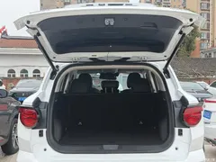 2023 Haval Havaldog PLUS 1.5T 2WD Chaoye Plus, белый — фото 12