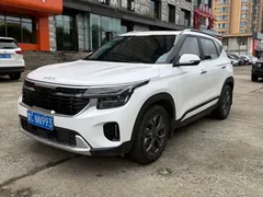 2023 Kia Seltos 1.5L CVT Luxury, белый — фото 1