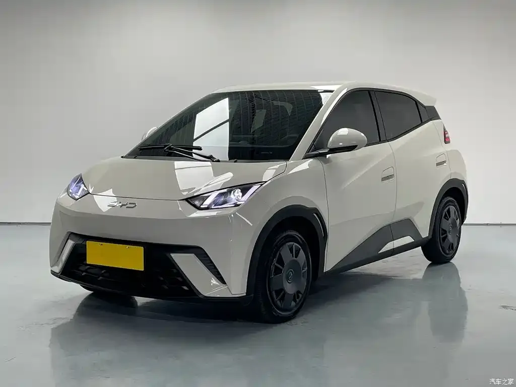 2025 BYD Seagull 305km Vitality
