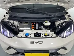 2025 BYD Seagull 305km Vitality — фото 9