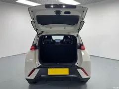 2025 BYD Seagull 305km Vitality — фото 10