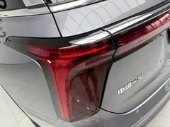 2022 Hongqi E-HS9 690km — фото 6