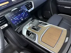 2022 Hongqi E-HS9 690km — фото 17