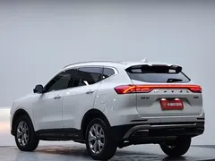 2021 Haval H6 1.5T AT Champion, белый — фото 18