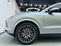 2022 Porsche Cayenne Cayenne 3.0T Platinum — фото 25