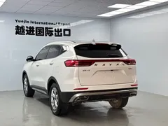 2021 Haval H6 1.5T AT Champion, белый — фото 9