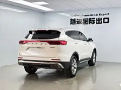 2021 Haval H6 1.5T AT Champion, белый — фото 11