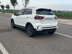 2021 Geely Vision X3 1.5L CVT, белый — фото 15