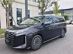 2025 BYD Xia 1.5T 180km — фото 1