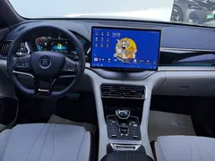 2021 BYD PLUS DM-i 110KM — фото 12