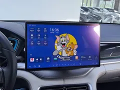 2021 BYD PLUS DM-i 110KM — фото 13