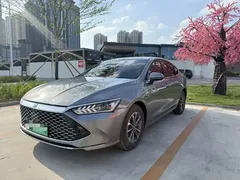 2024 BYD Qin PLUS 55KM — фото 1