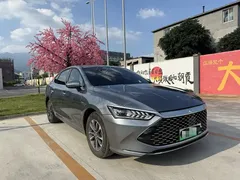 2024 BYD Qin PLUS 55KM — фото 3