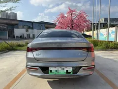 2024 BYD Qin PLUS 55KM — фото 8