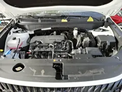 2023 Hyundai ix35 2.0L Luxury DLX, белый — фото 20