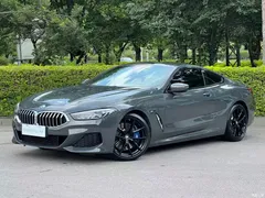 2019 BMW 8 Series 840i Coupe M Sport Package — фото 2
