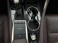 2020 Lexus RX modified 300 4WD elegant — фото 13
