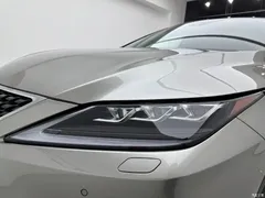 2020 Lexus RX modified 300 4WD elegant — фото 30