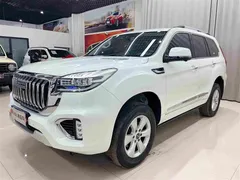 2022 Haval H9 2.0T 4WD Premium 5, белый — фото 1