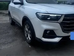 2021 Haval H6 1.5GDIT AT Ultra Luxury, белый — фото 3