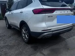 2021 Haval H6 1.5GDIT AT Ultra Luxury, белый — фото 5