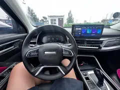 2021 Haval H6 1.5GDIT AT Ultra Luxury, белый — фото 33