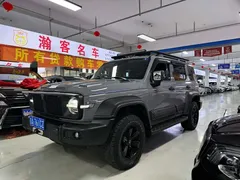2021 Tank 300 Off-road 2.0T Conqueror — фото 1