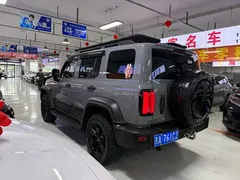 2021 Tank 300 Off-road 2.0T Conqueror — фото 6
