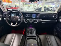 2021 Tank 300 Off-road 2.0T Conqueror — фото 8