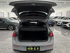 2023 Volkswagen Golf 280TSI DSG R-Line Lite — фото 10