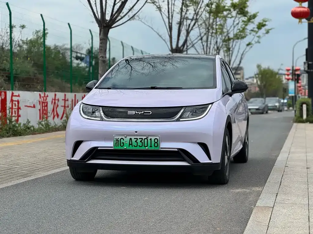 2023 BYD Dolphin 420km Fashion