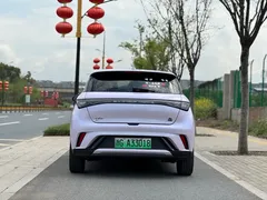 2023 BYD Dolphin 420km Fashion — фото 6
