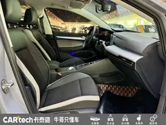 2021 Volkswagen Golf 280TSI DSG Pro — фото 19