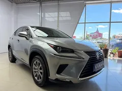2020 Lexus NX 200 VI — фото 3
