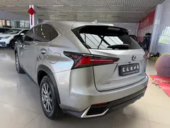 2020 Lexus NX 200 VI — фото 17