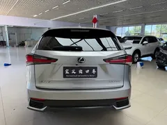 2020 Lexus NX 200 VI — фото 18