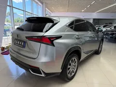 2020 Lexus NX 200 VI — фото 19