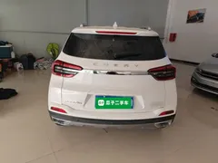 2020 Chery Tiggo 5x 1.5L CVT Fashion, белый — фото 6