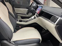 2024 BYD Song PLUS DM-i 150km PLUS 5G — фото 6