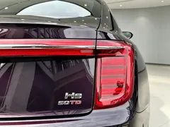 2020 Hongqi H9 3.0T — фото 27