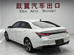 2022 Hyundai Elantra 1.5L CVT GLX Elite, белый — фото 8