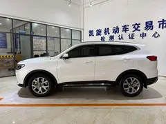 2021 Haval H6 1.5T AT, белый — фото 7