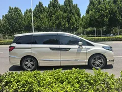 2019 Honda Elysion 2.0L Hybrid Luxury — фото 7