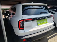 2021 Haval Dargo 1.5T DCT 2WD Border Collie, белый — фото 5