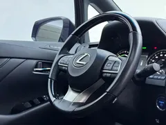 2020 Lexus LM 300h, чёрный — фото 13