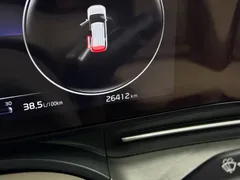 2021 Kia Carnival 2.0T Flagship, белый — фото 12